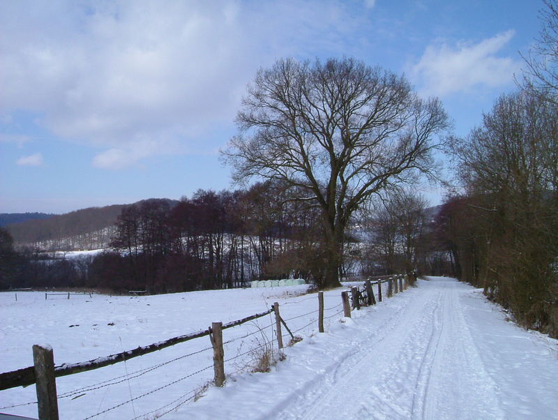 Winter 2006