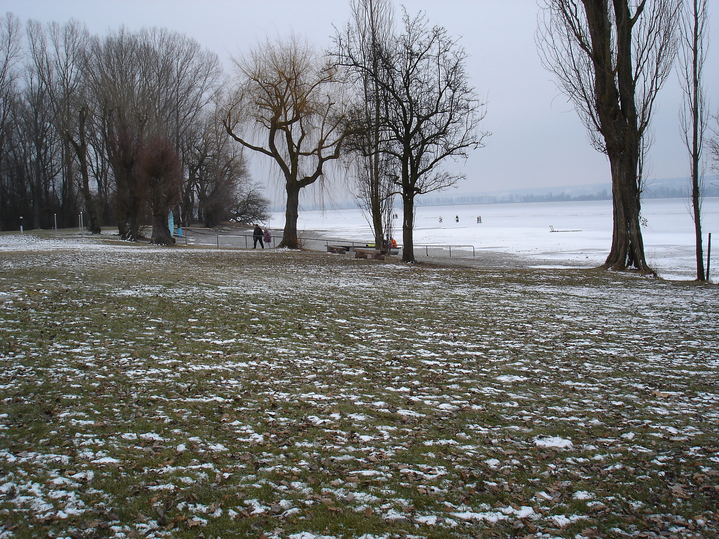 Winter 2006 am Bodensee