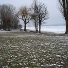 Winter 2006 am Bodensee