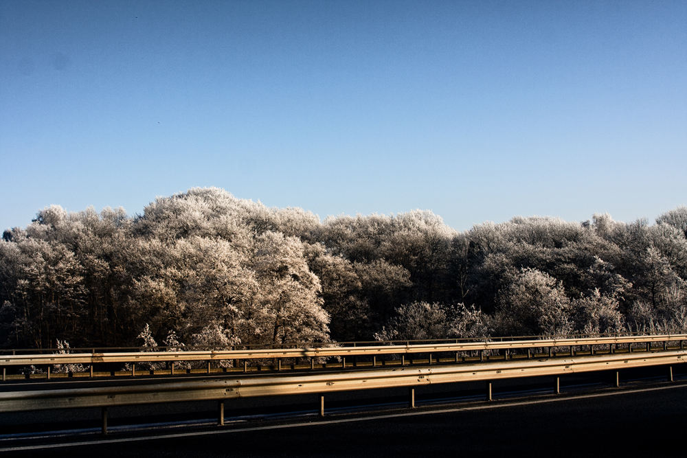 winter 2007 in bremen - leider nur einen tag lang