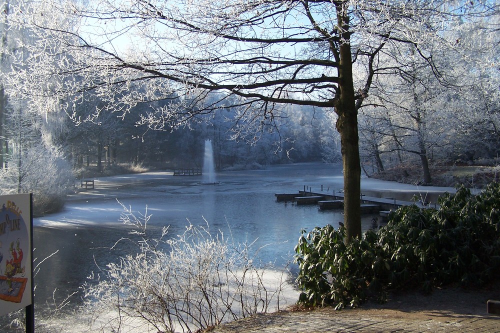 Winter 2007 (Vennebos 2, NL)