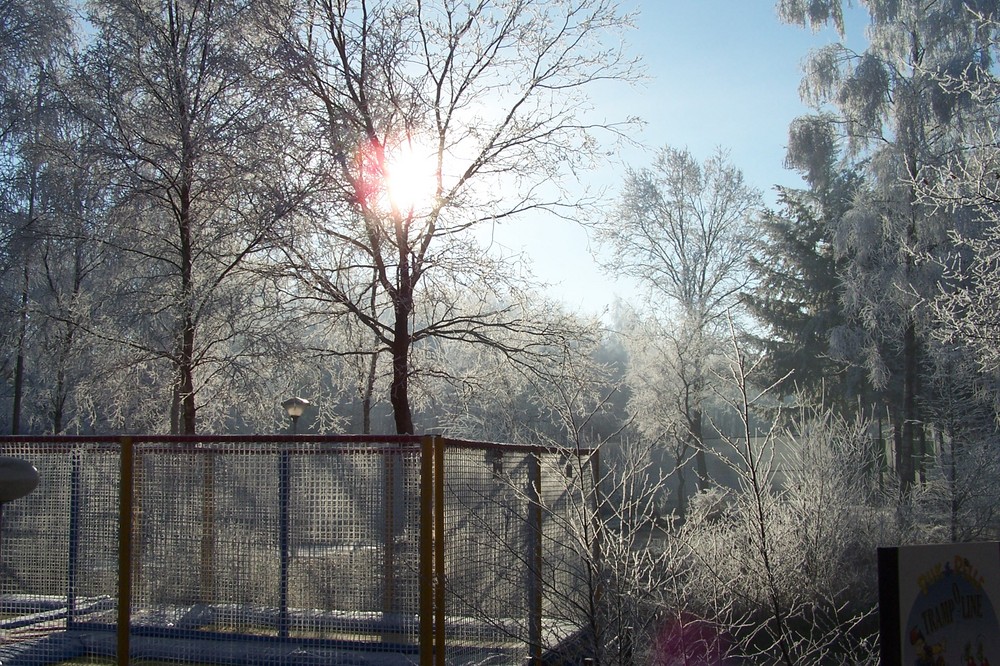 Winter 2007 (Vennebos 5, NL)
