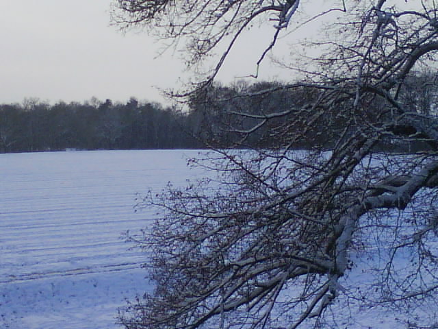 Winter 2008