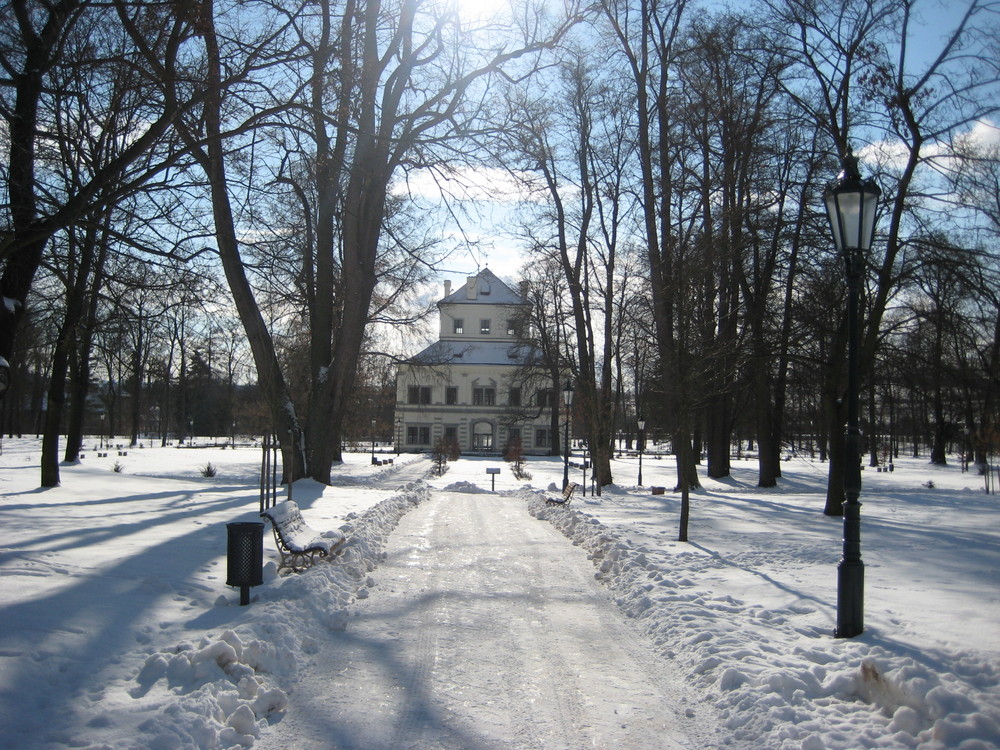 Winter 2008