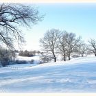 Winter 2008/2009 ~ Feld