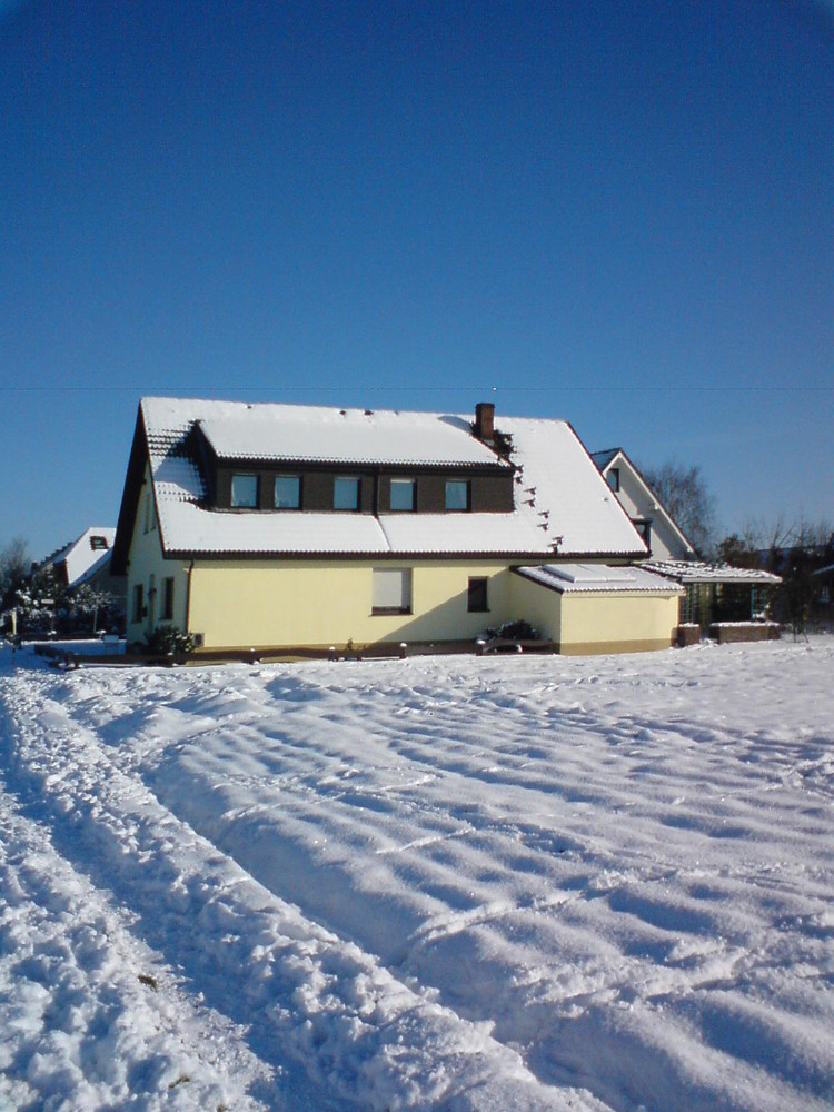 Winter 2009 am Niederrhein