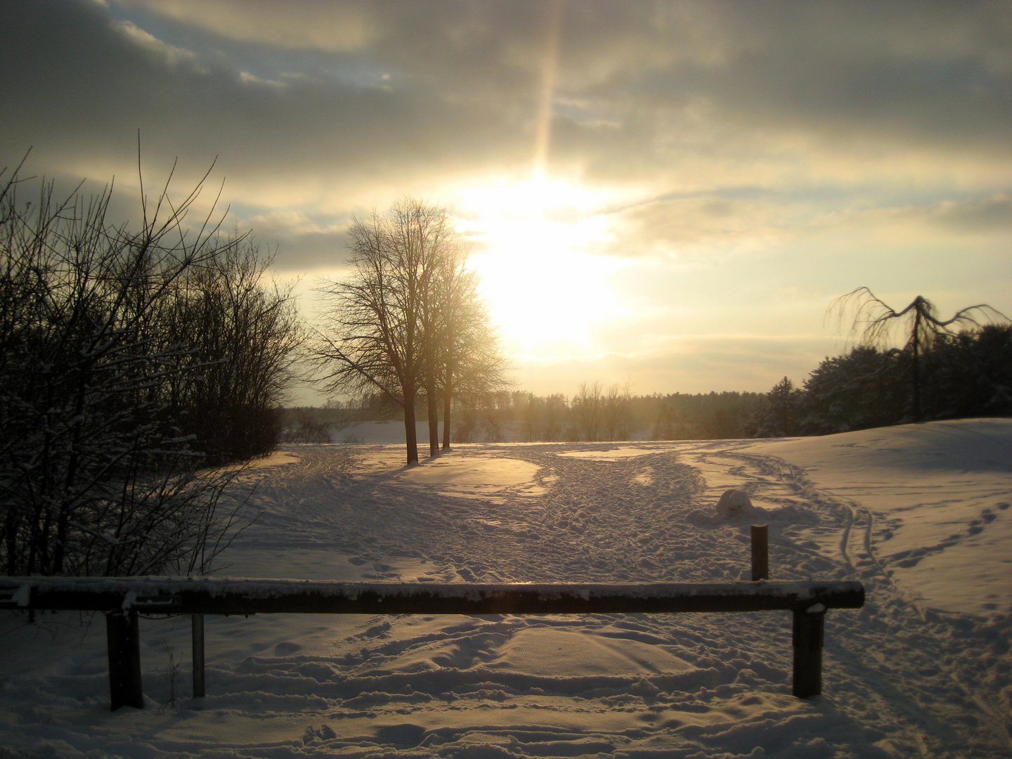 Winter 2009