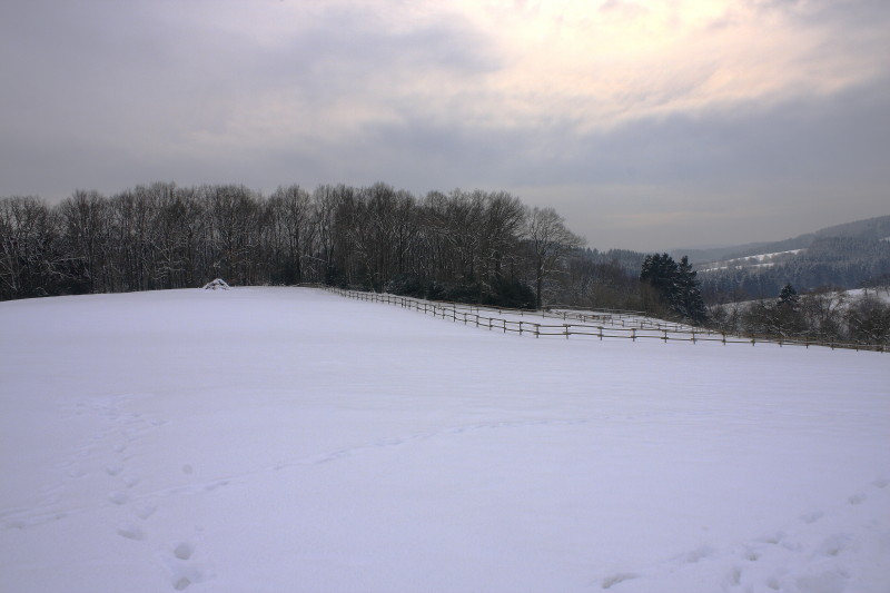 Winter 2009