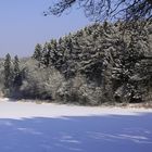 Winter 2010 (02)