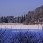 Winter 2010 (04)