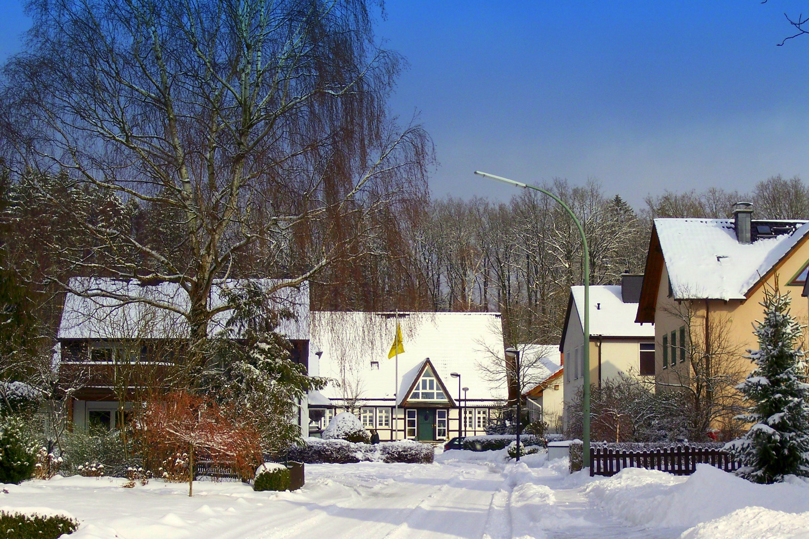 Winter 2010