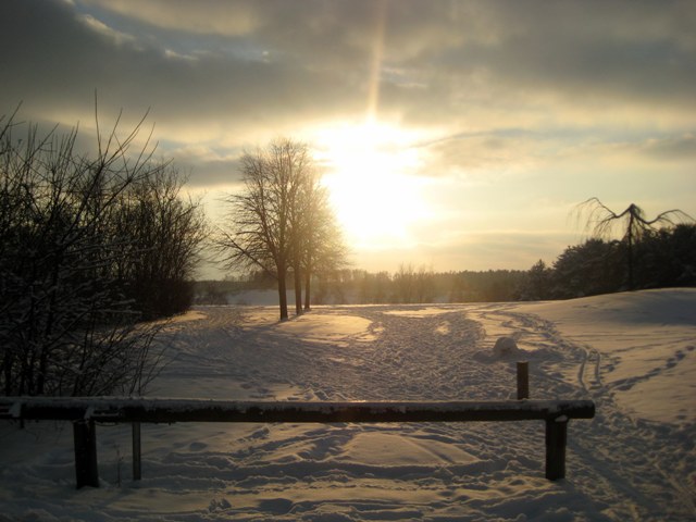 Winter 2010