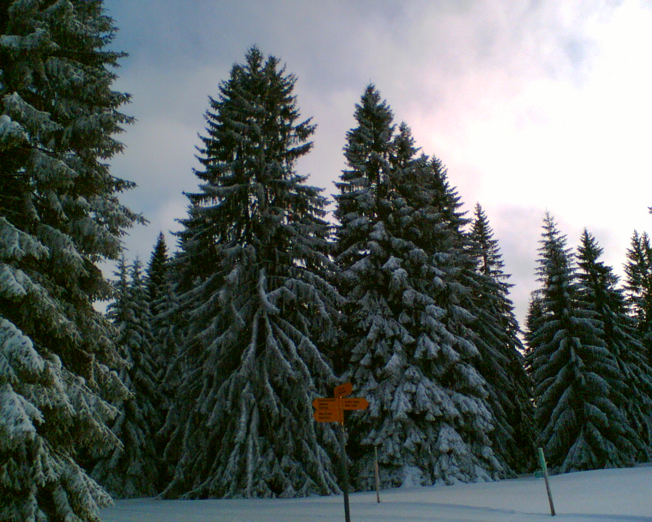 winter 2010