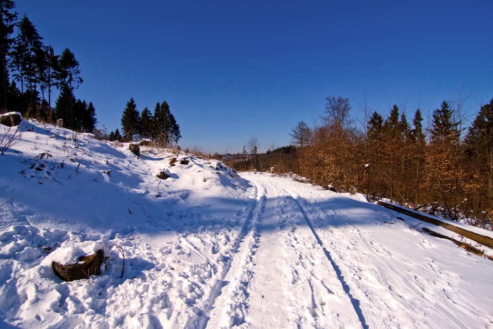 Winter 2010 (10)