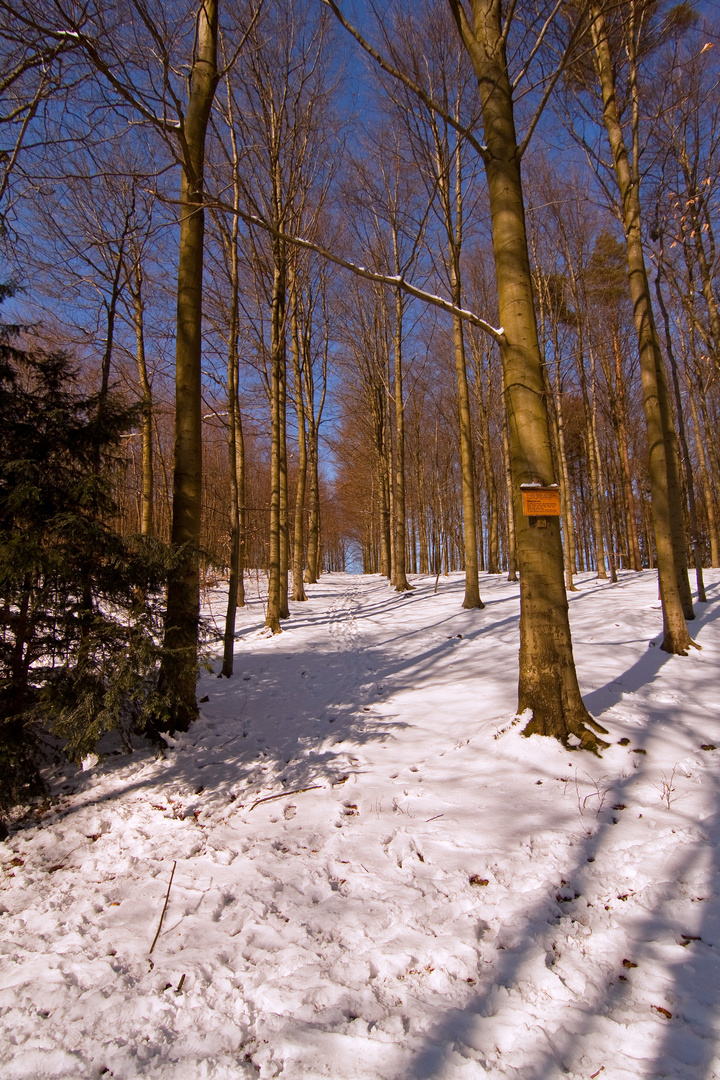 Winter 2010 (15)