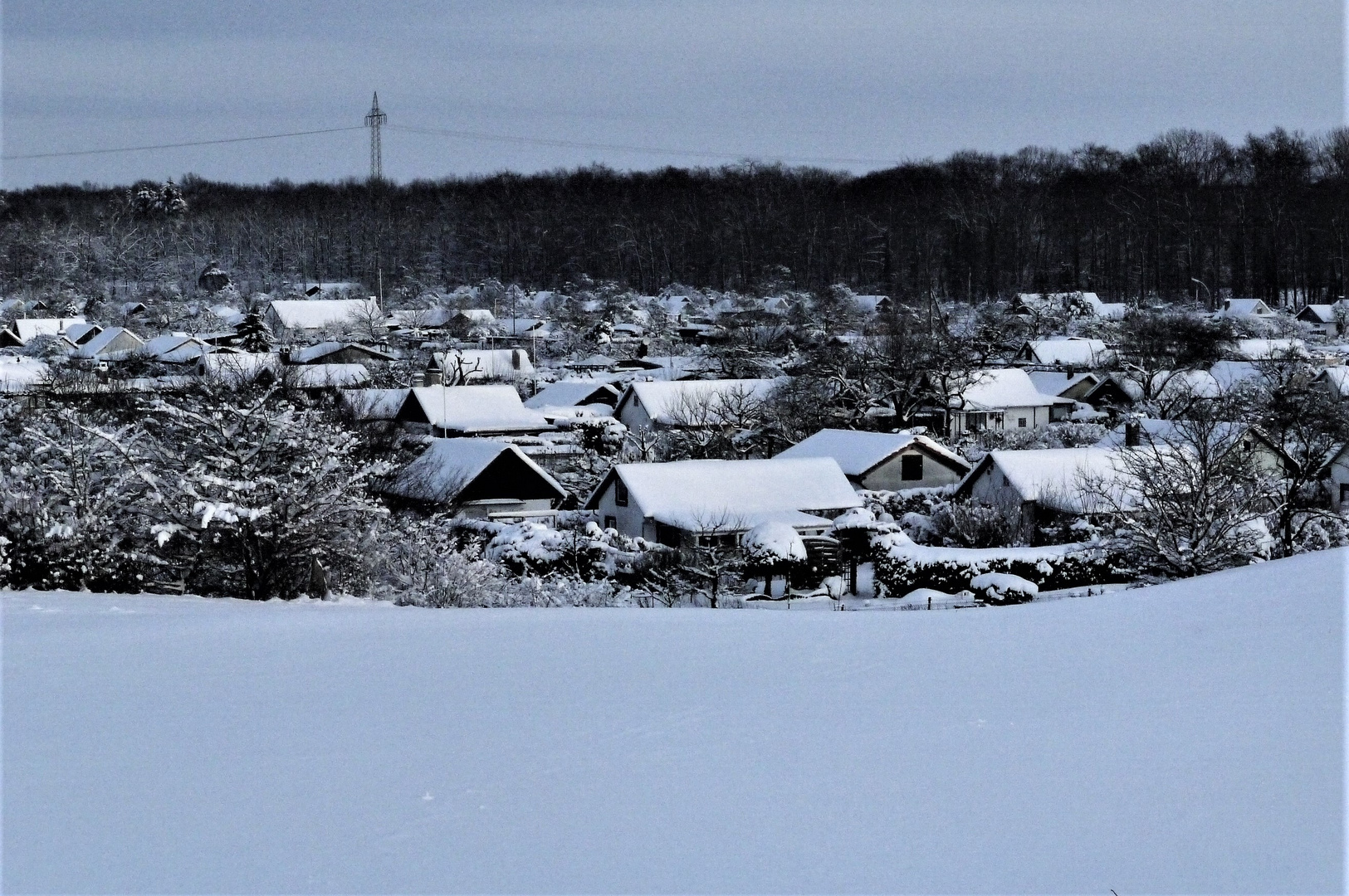 Winter 2010 / 2011 - Blick vom Schleusenberg in Münster