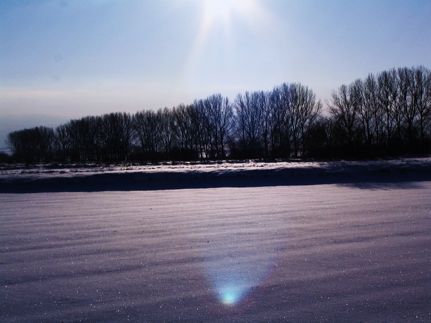 Winter 2010