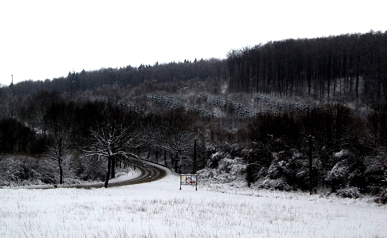 Winter 2010