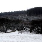 Winter 2010