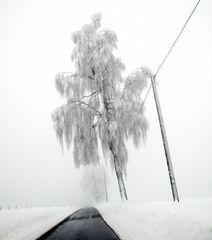 winter 2010