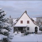 Winter 2010