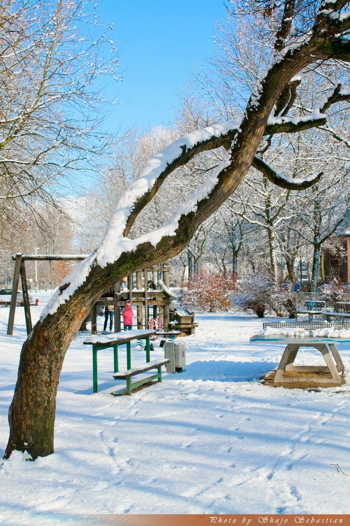 Winter 2010