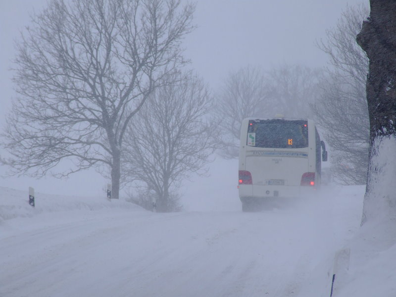 Winter 2010 auf Rügen (2)