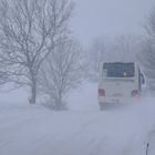 Winter 2010 auf Rügen (2)