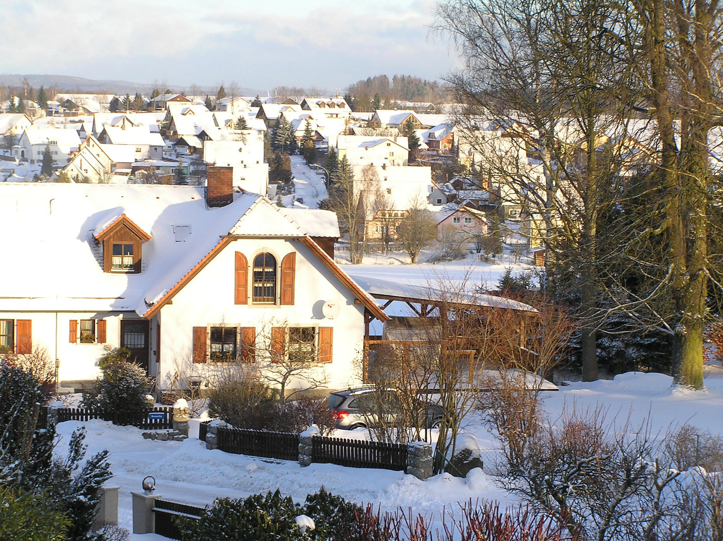Winter 2010 - Blick aus dem Küchenfenster