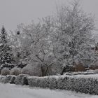 Winter 2010