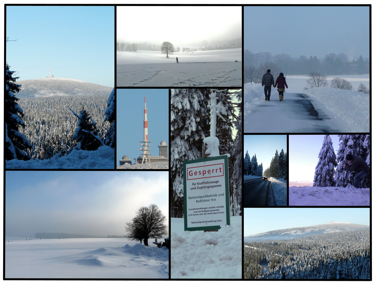 Winter 2010 im Harz