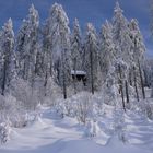 Winter (2010) im Schwarzwald-1