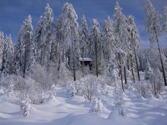Winter (2010) im Schwarzwald-1