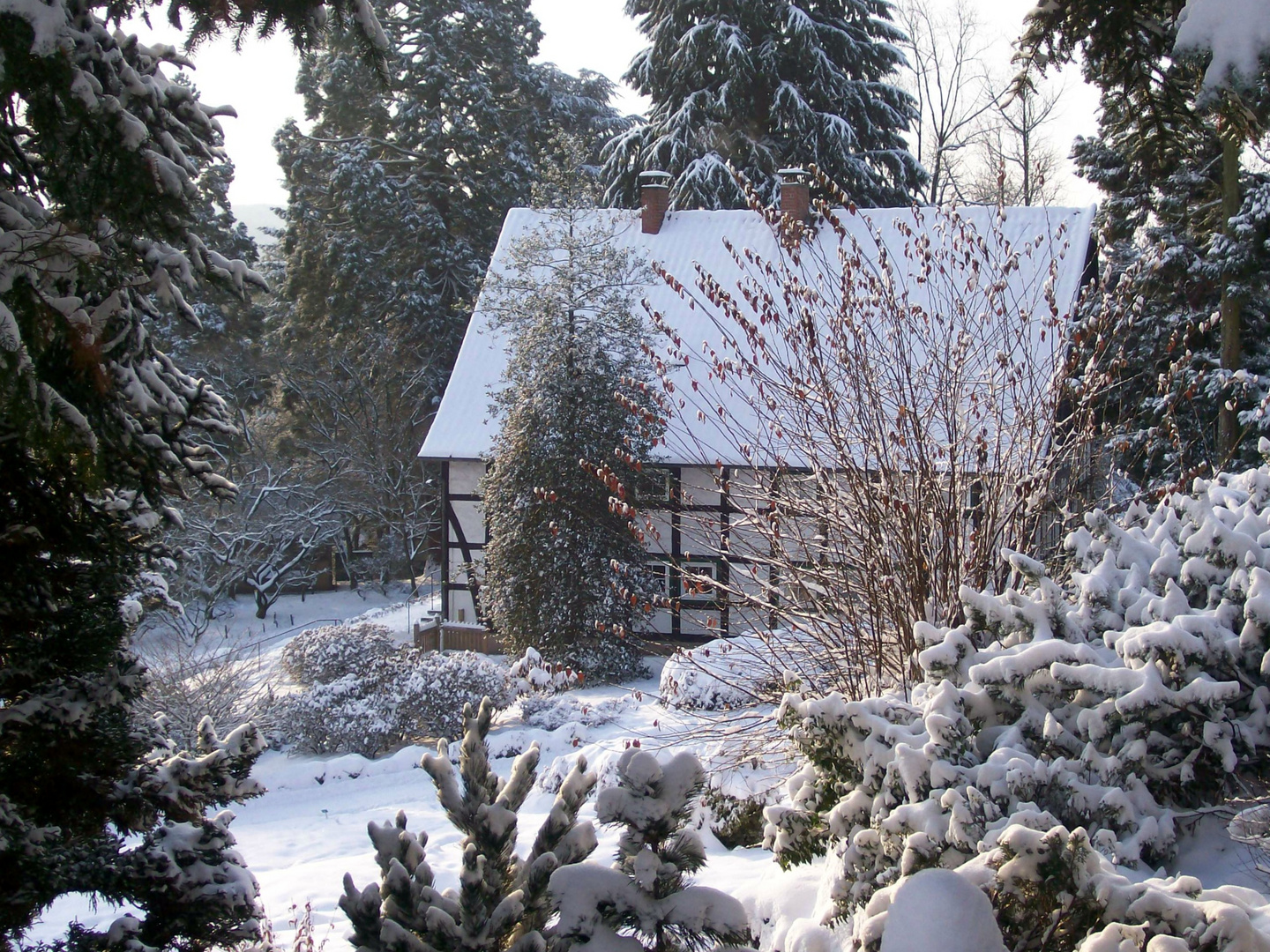 Winter 2010 in Bielefeld.Botanischer Garten.