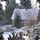 Winter 2010 in Bielefeld.Botanischer Garten.