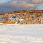 Winter 2010 Insel Hiddensee