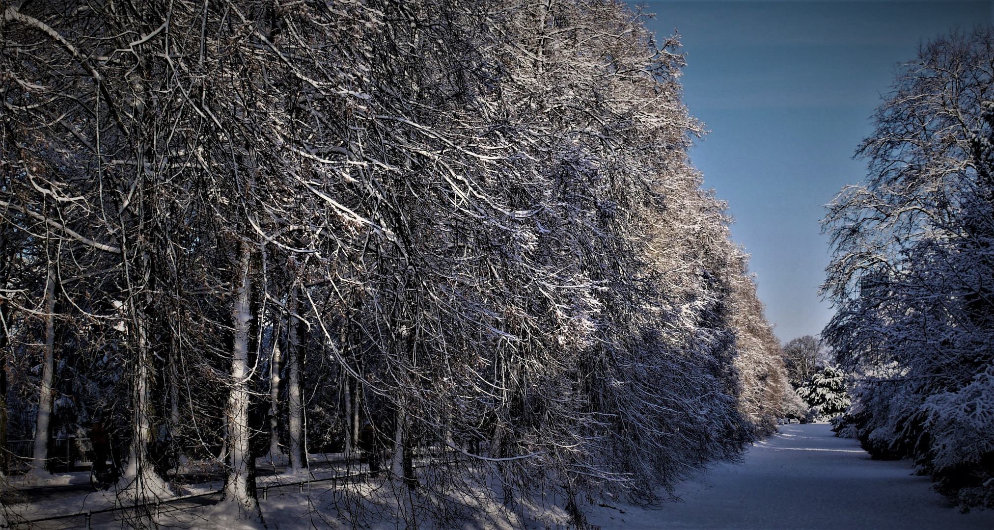 Winter 2010 - Münsters Promenade im Schnee