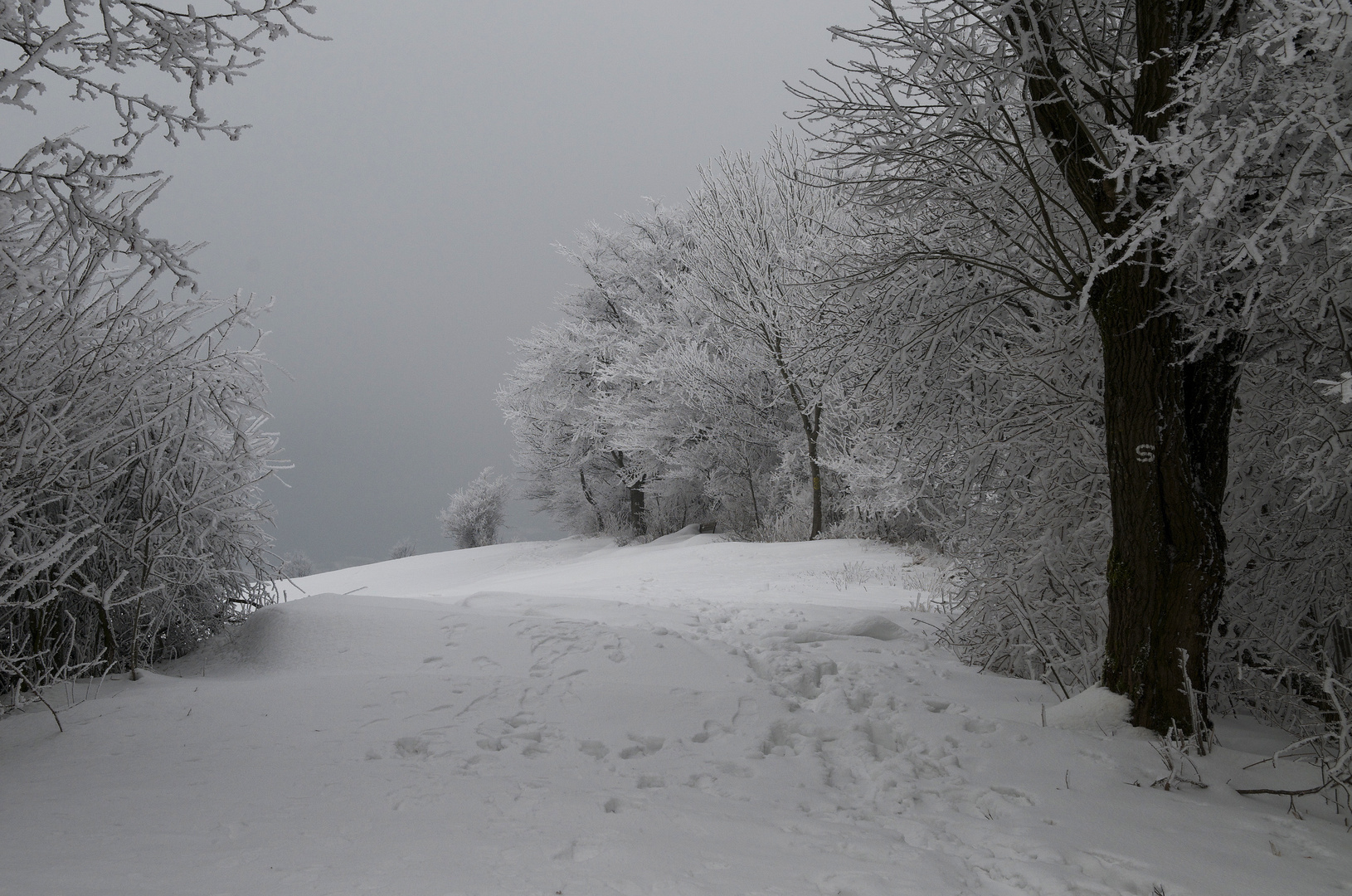 Winter 2010 Nordhessen