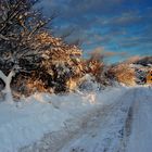 Winter 2010 Seebad Insel Hiddensee 