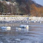 Winter 2010/11 an der Elbe