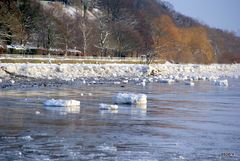 Winter 2010/11 an der Elbe