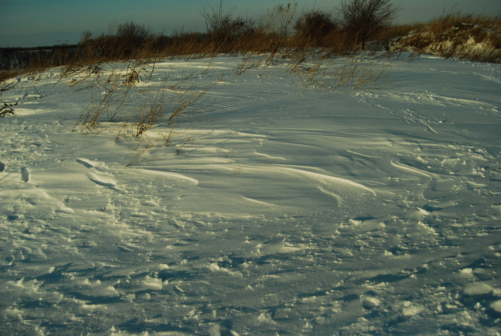 Winter 2010/2011 - Die heimische Schneewüste