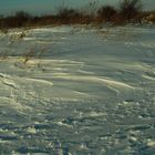 Winter 2010/2011 - Die heimische Schneewüste