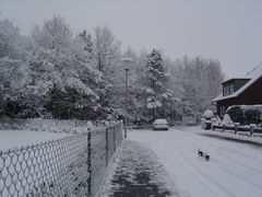 Winter 2010,Dezember