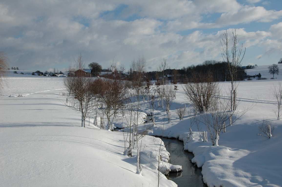 Winter 2011