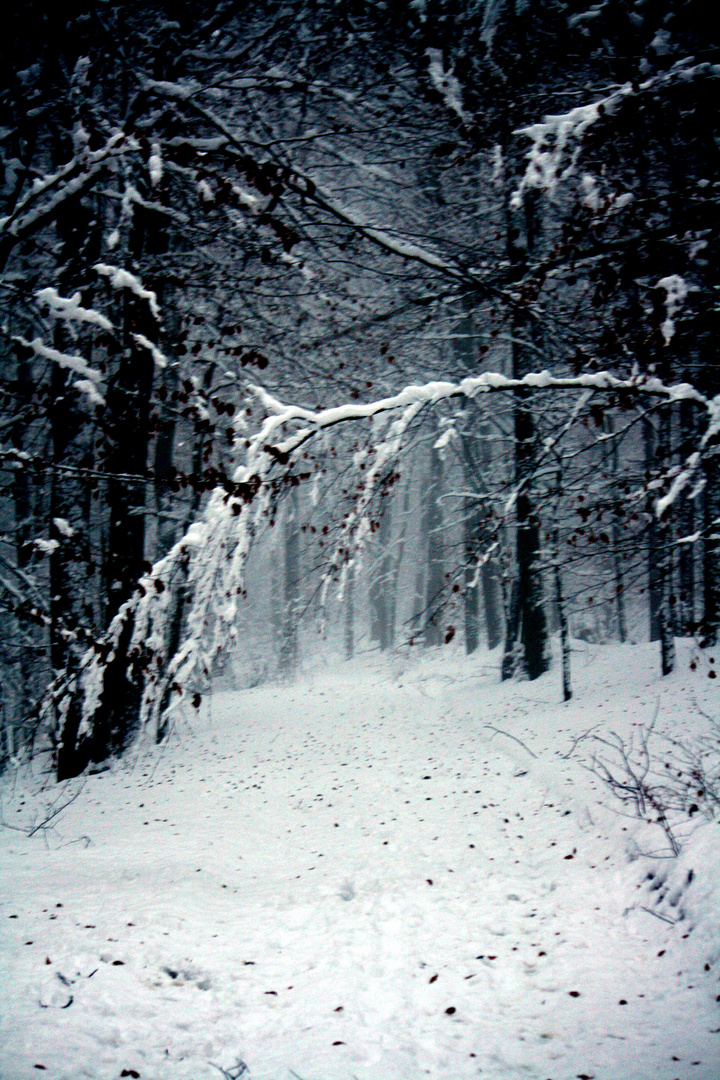 "Winter 2011"