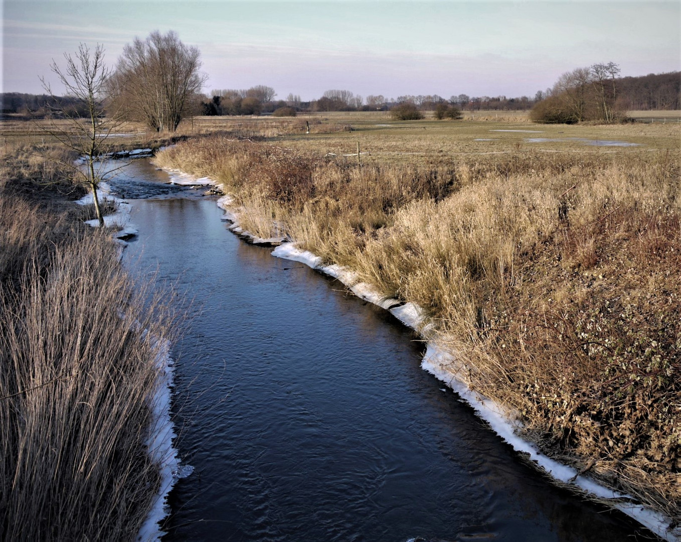 Winter 2012 - Angefrorene Aa im Norden von Münster