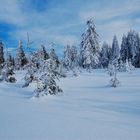 Winter 2012 ( nichts für Weicheier und Radio- und Fernsehmoderatoren)