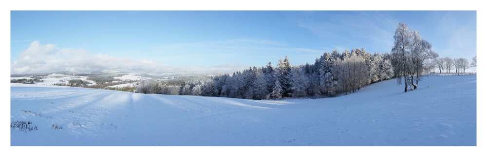 Winter 2014 im Vogtland