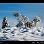 Winter 2015 auf der Hornisgrinde